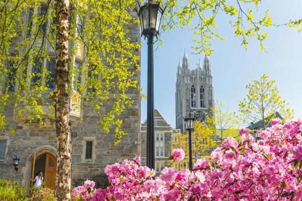 Main campus in spring.

Gasson and Devlin Halls viewed from the south side. 