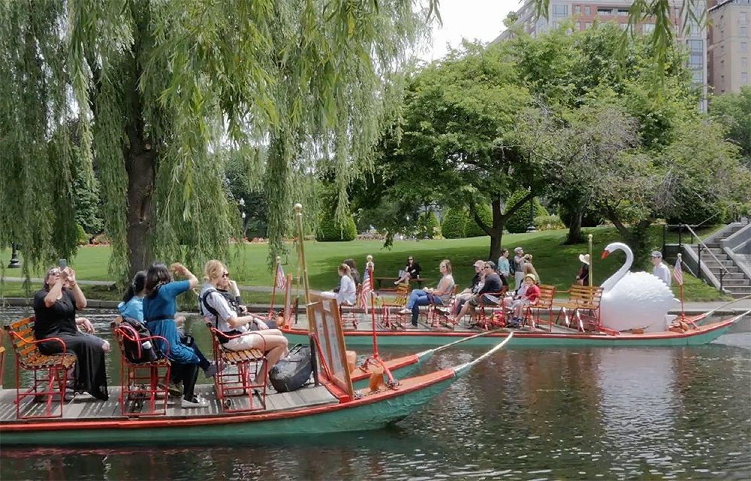 人们在波士顿公共花园乘坐天鹅船